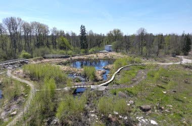 Översikt över del av Hanefors naturreservat med vattendrag och spänger.